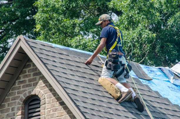 Best Commercial Roof Installation  in Three Lakes, FL